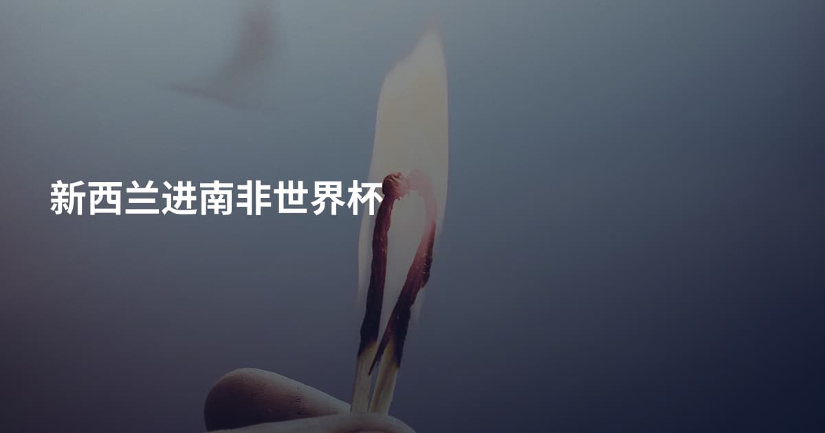新西兰进南非世界杯