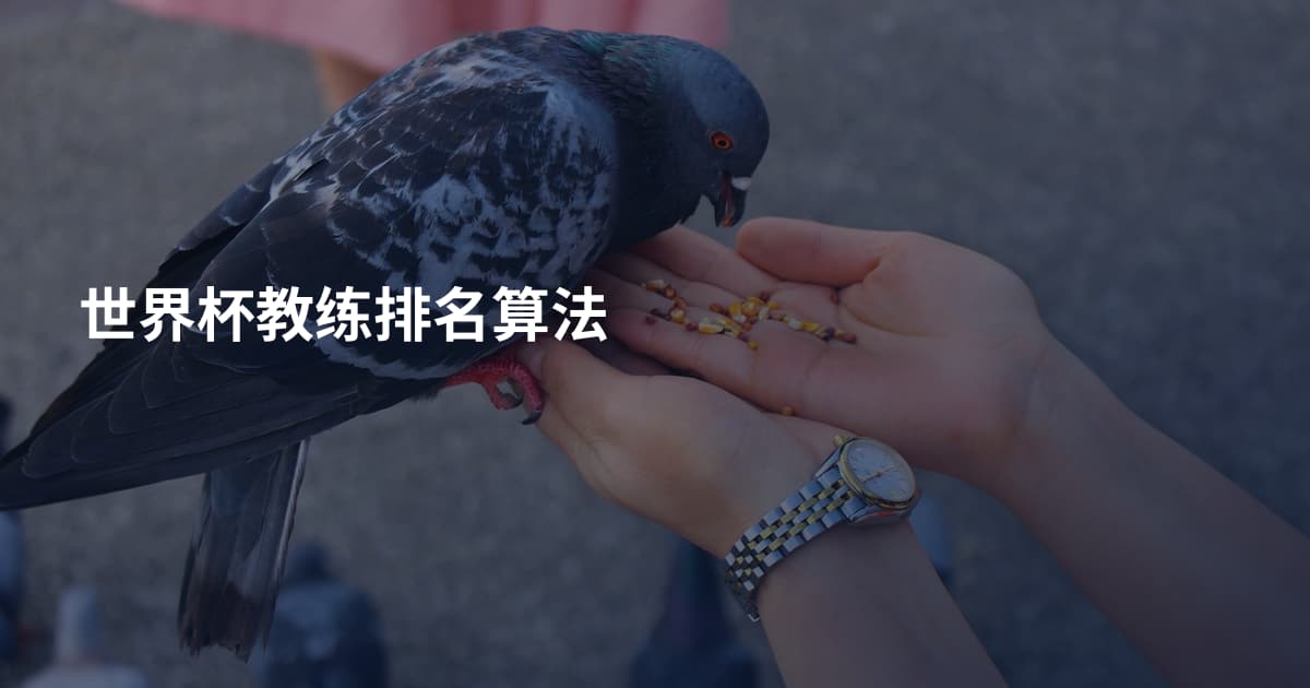 世界杯教练排名算法