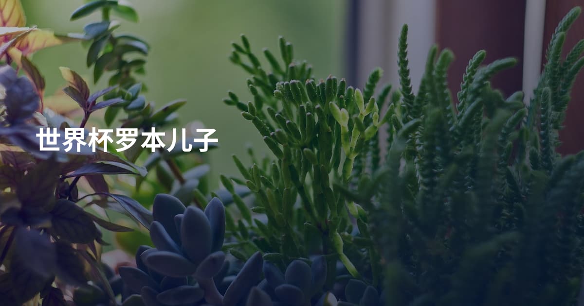 世界杯罗本儿子