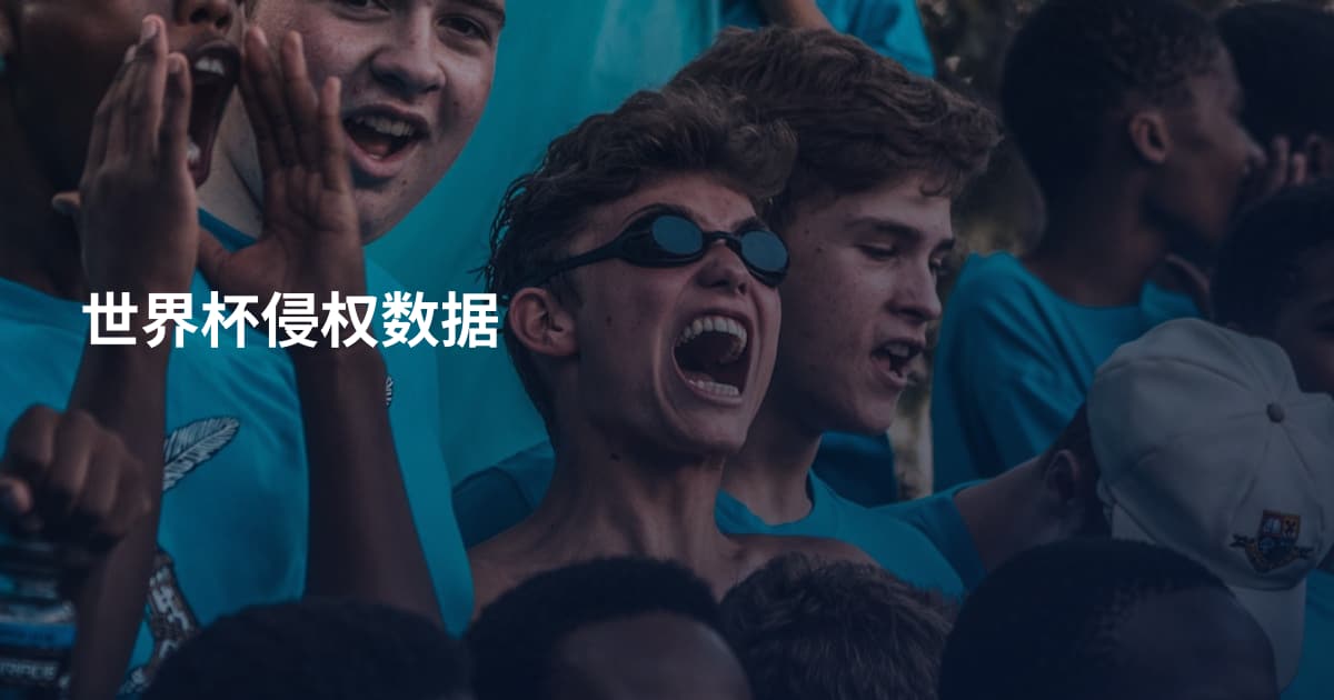 世界杯侵权数据