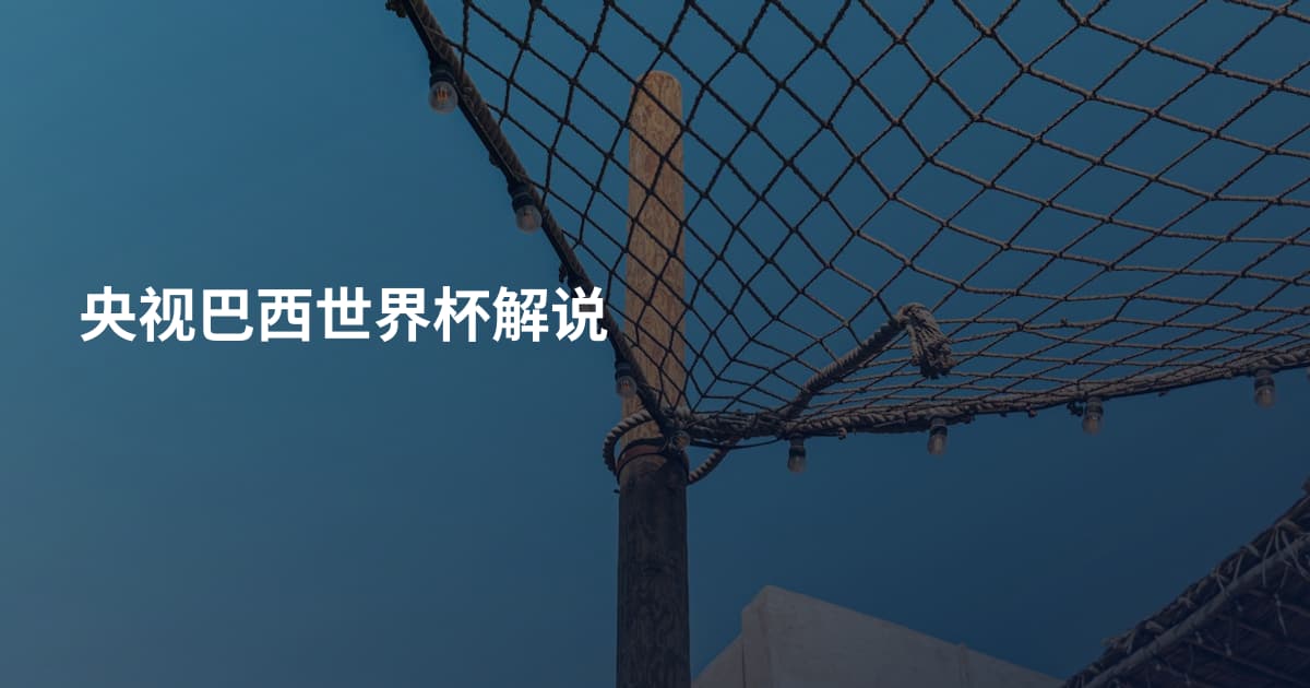 央视巴西世界杯解说