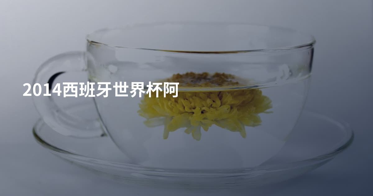 2014西班牙世界杯阿