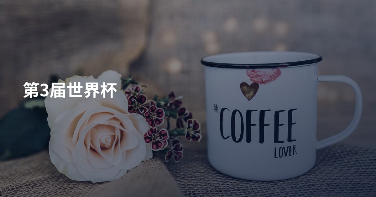 第3届世界杯
