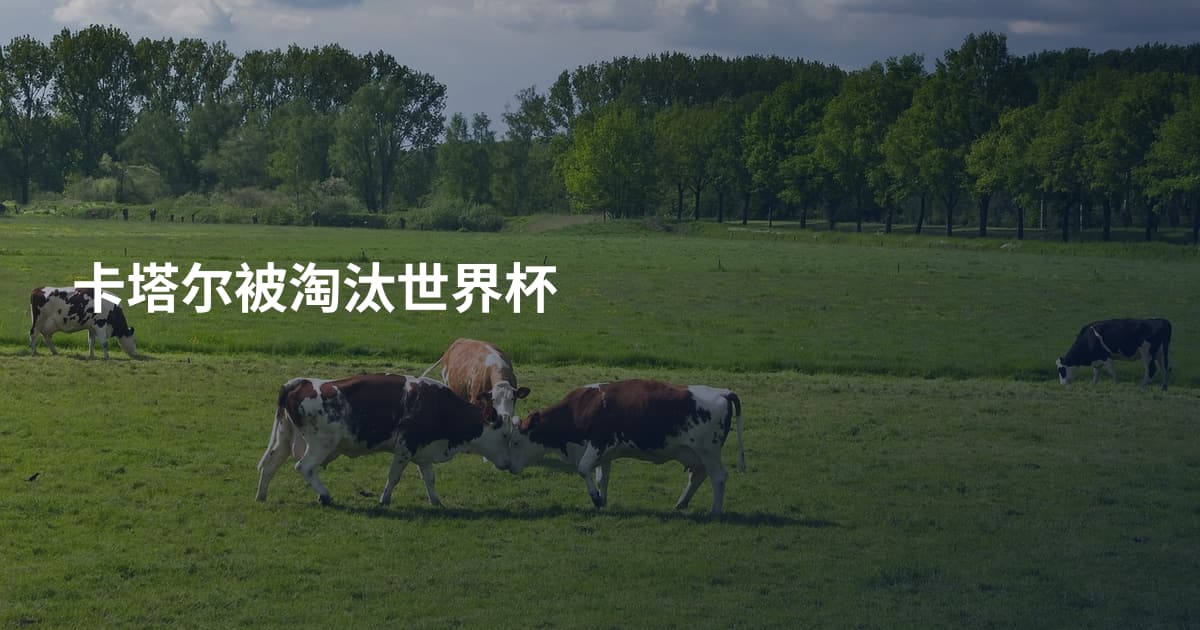 卡塔尔被淘汰世界杯