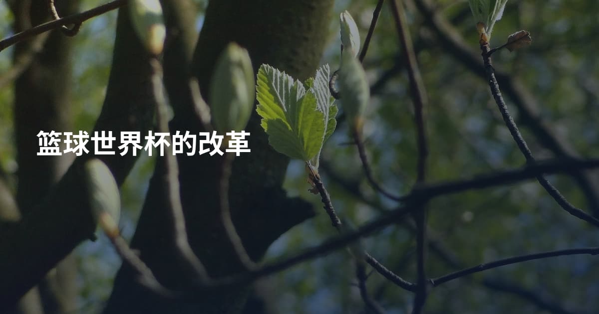 篮球世界杯的改革