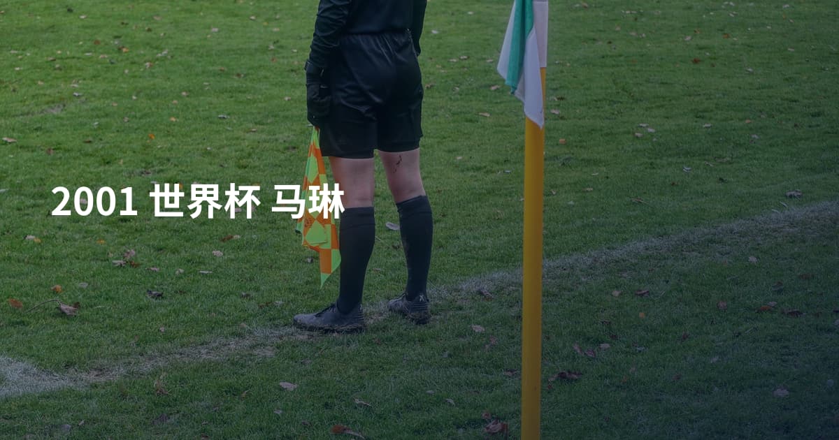 2001 世界杯 马琳