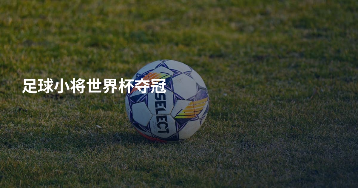 足球小将世界杯夺冠