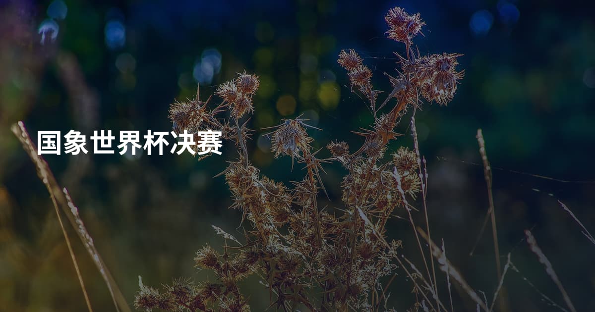 国象世界杯决赛