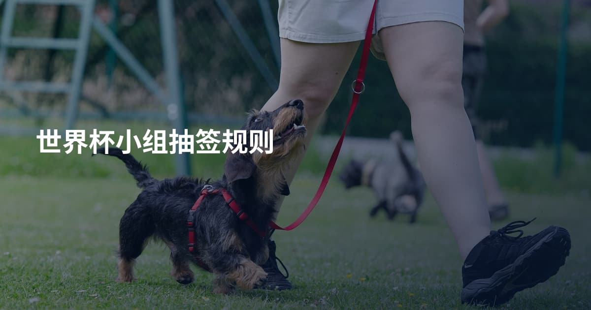世界杯小组抽签规则