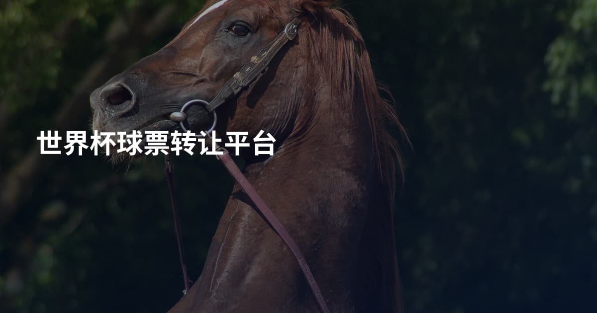 世界杯球票转让平台