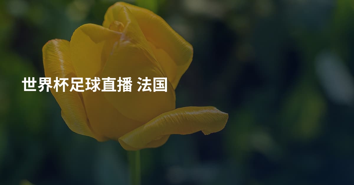 世界杯足球直播 法国