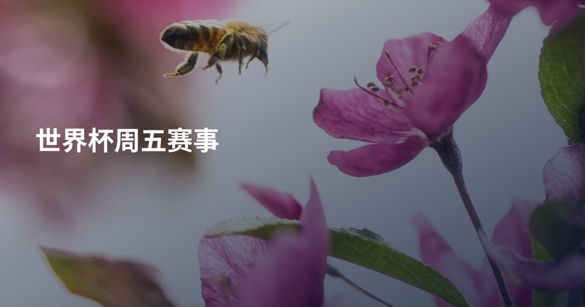 世界杯周五赛事