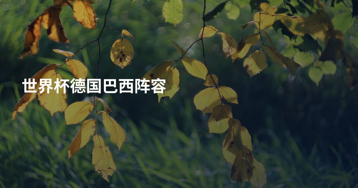 世界杯德国巴西阵容