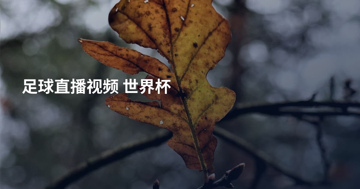 足球直播视频 世界杯