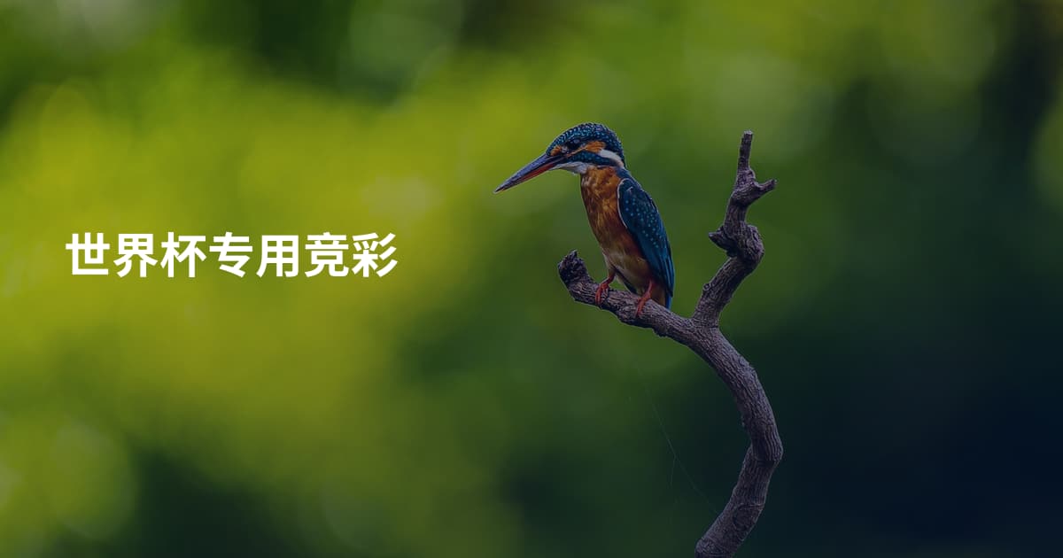 世界杯专用竞彩