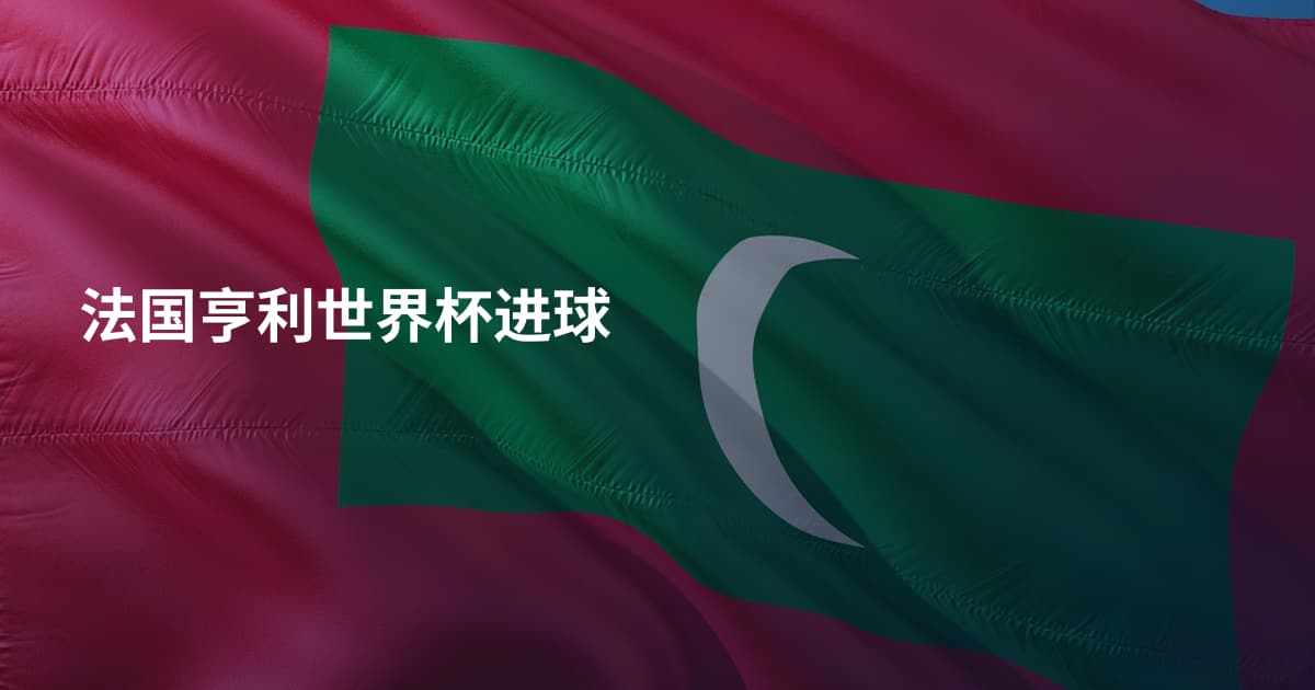 法国亨利世界杯进球