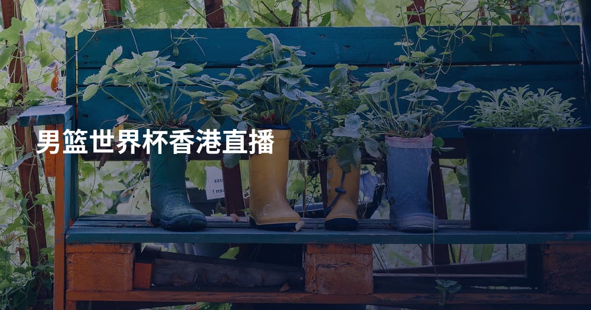 男篮世界杯香港直播