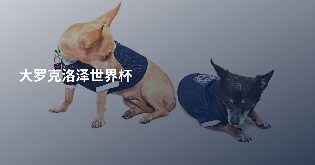 大罗克洛泽世界杯
