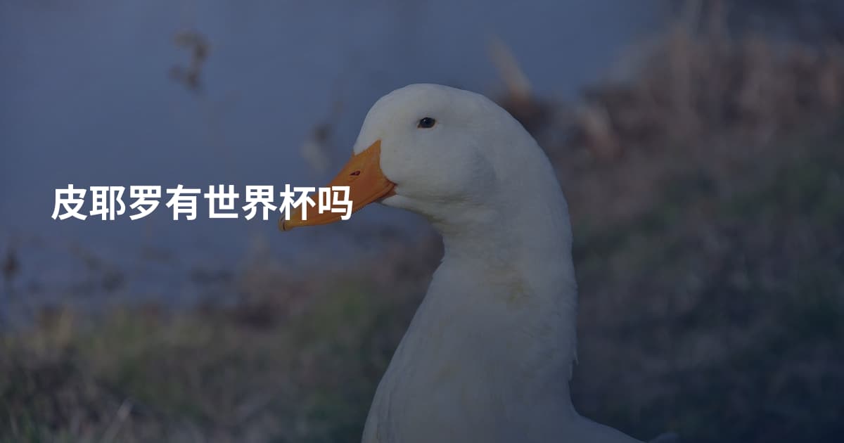 皮耶罗有世界杯吗