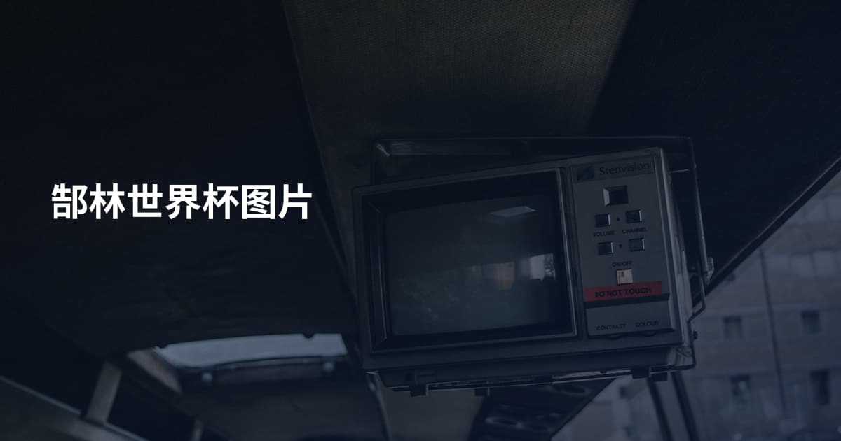 郜林世界杯图片