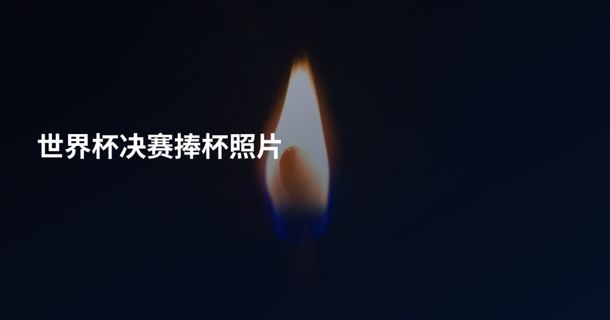 世界杯决赛捧杯照片