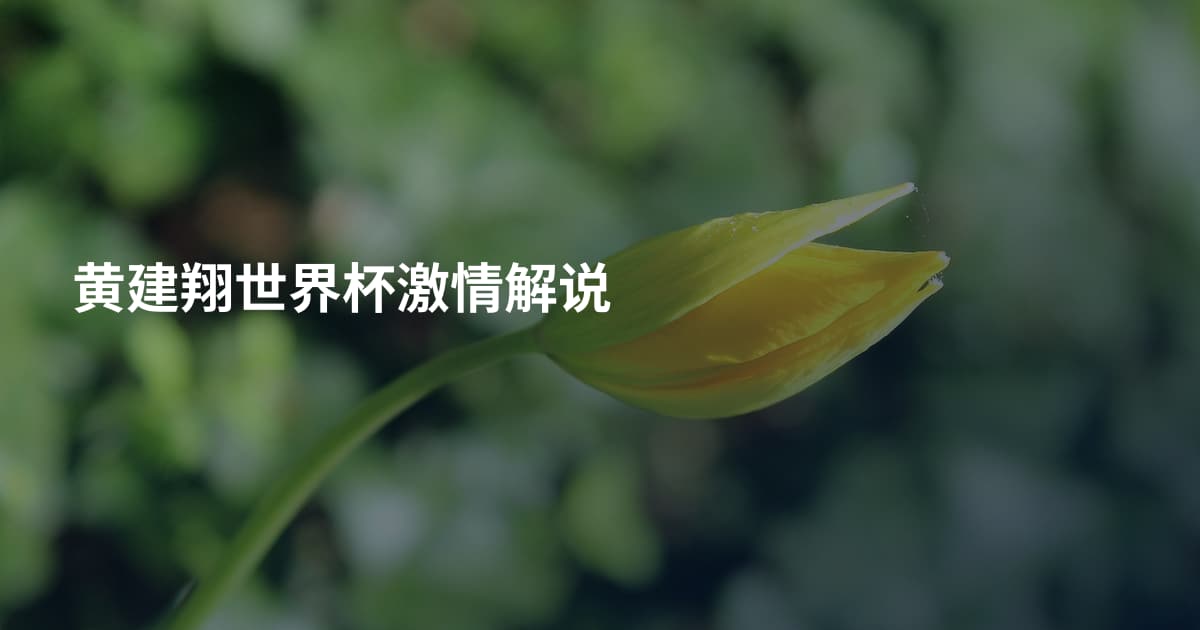 黄建翔世界杯激情解说