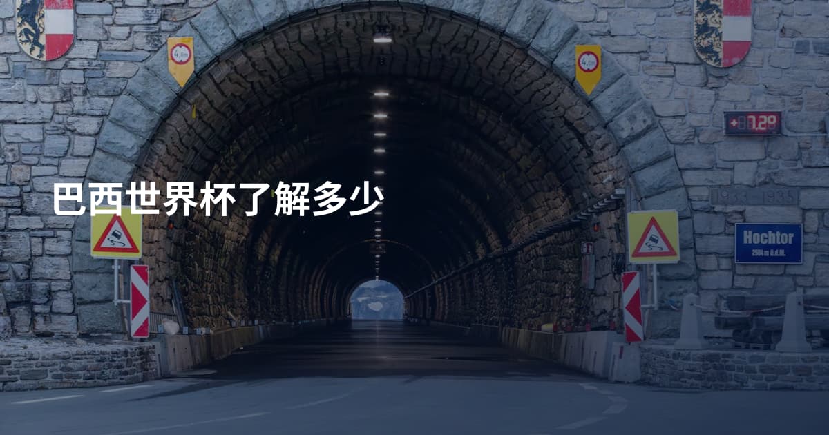 巴西世界杯了解多少