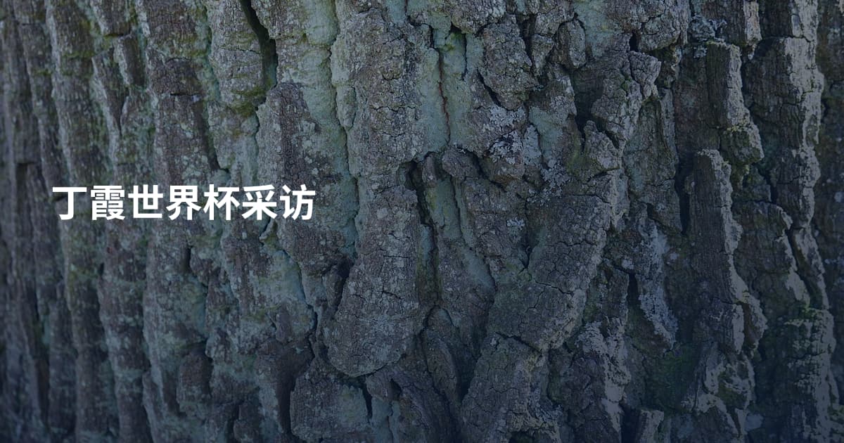 丁霞世界杯采访