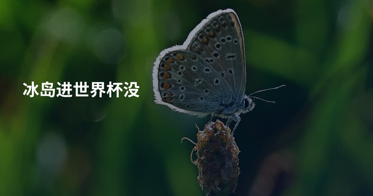 冰岛进世界杯没