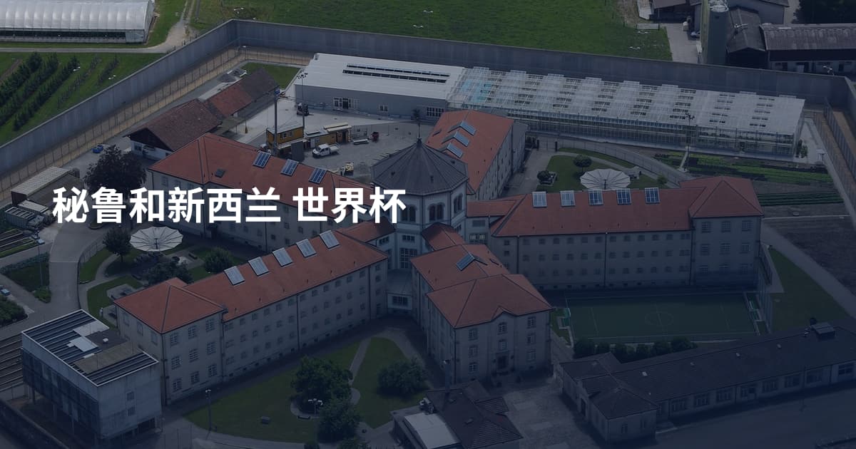 秘鲁和新西兰 世界杯