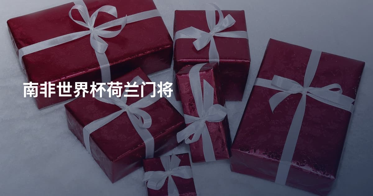 南非世界杯荷兰门将