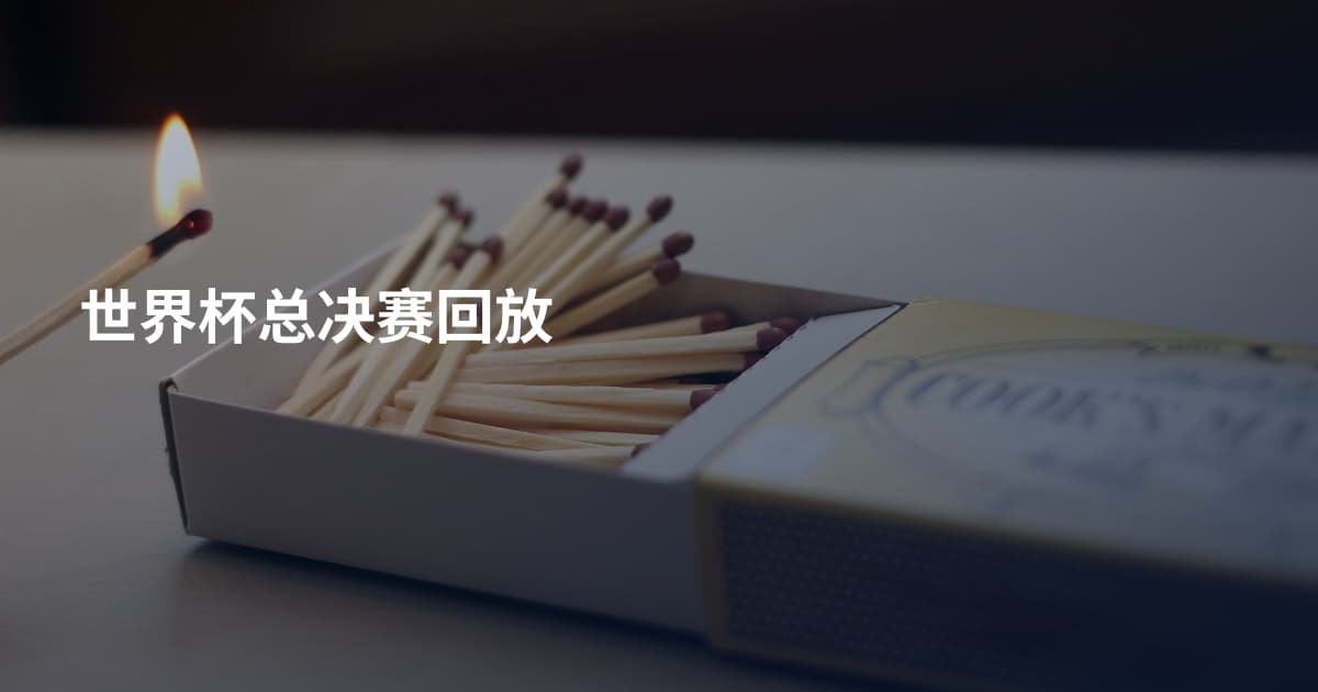 世界杯总决赛回放