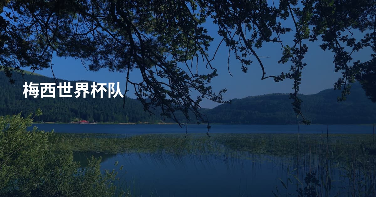 梅西世界杯队