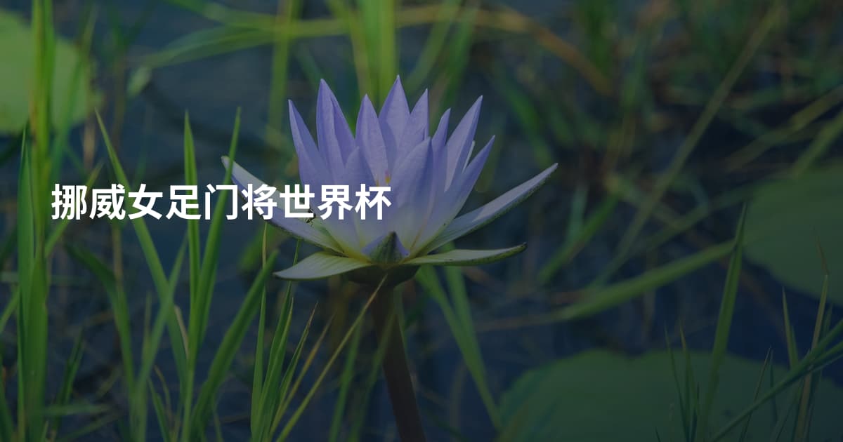 挪威女足门将世界杯