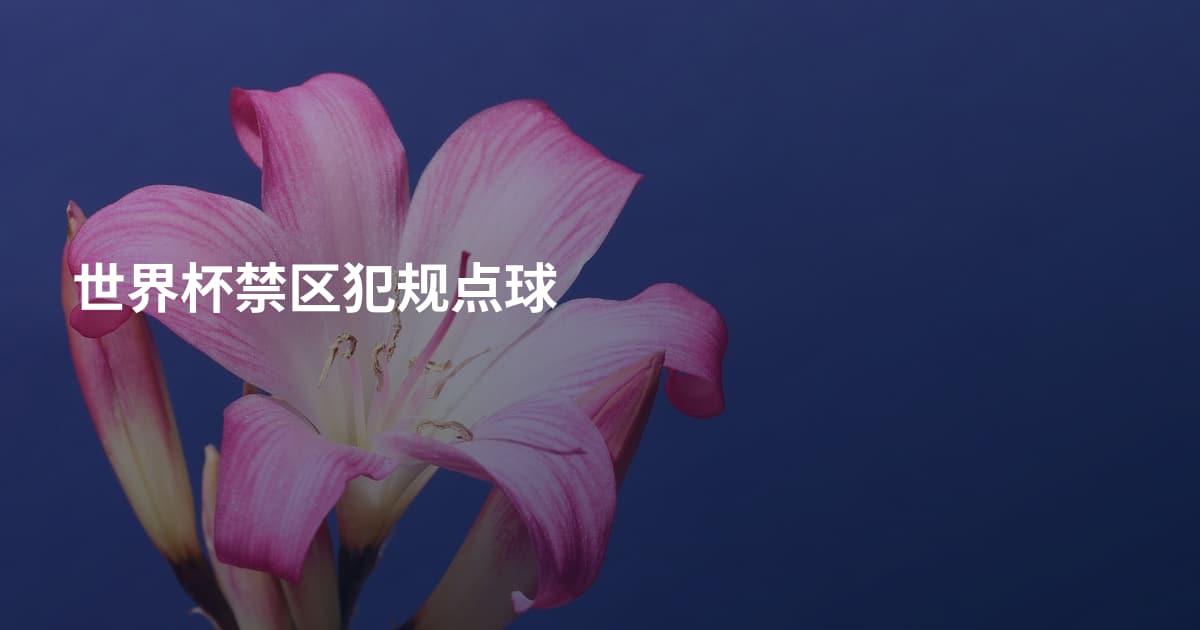 世界杯禁区犯规点球