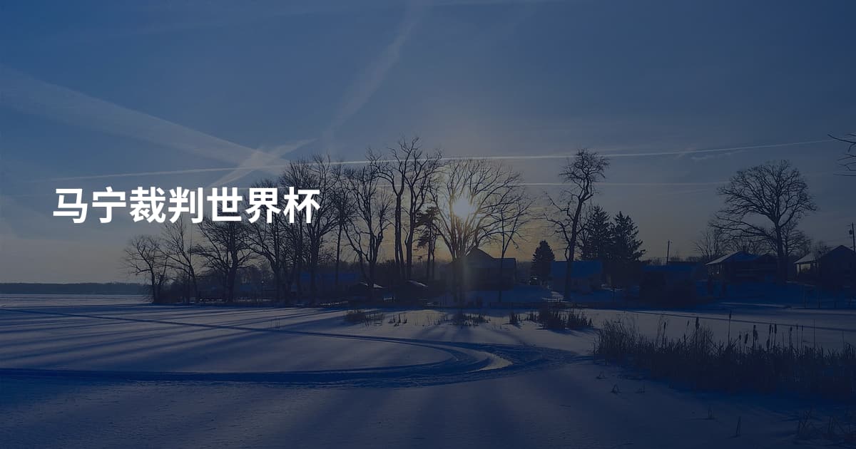 马宁裁判世界杯