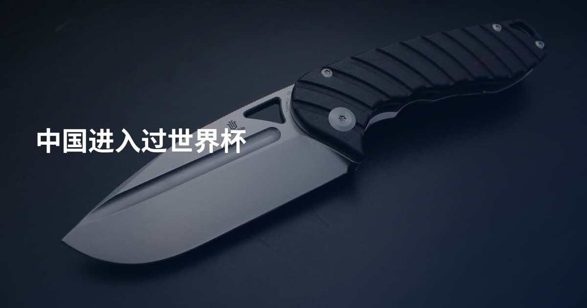 中国进入过世界杯