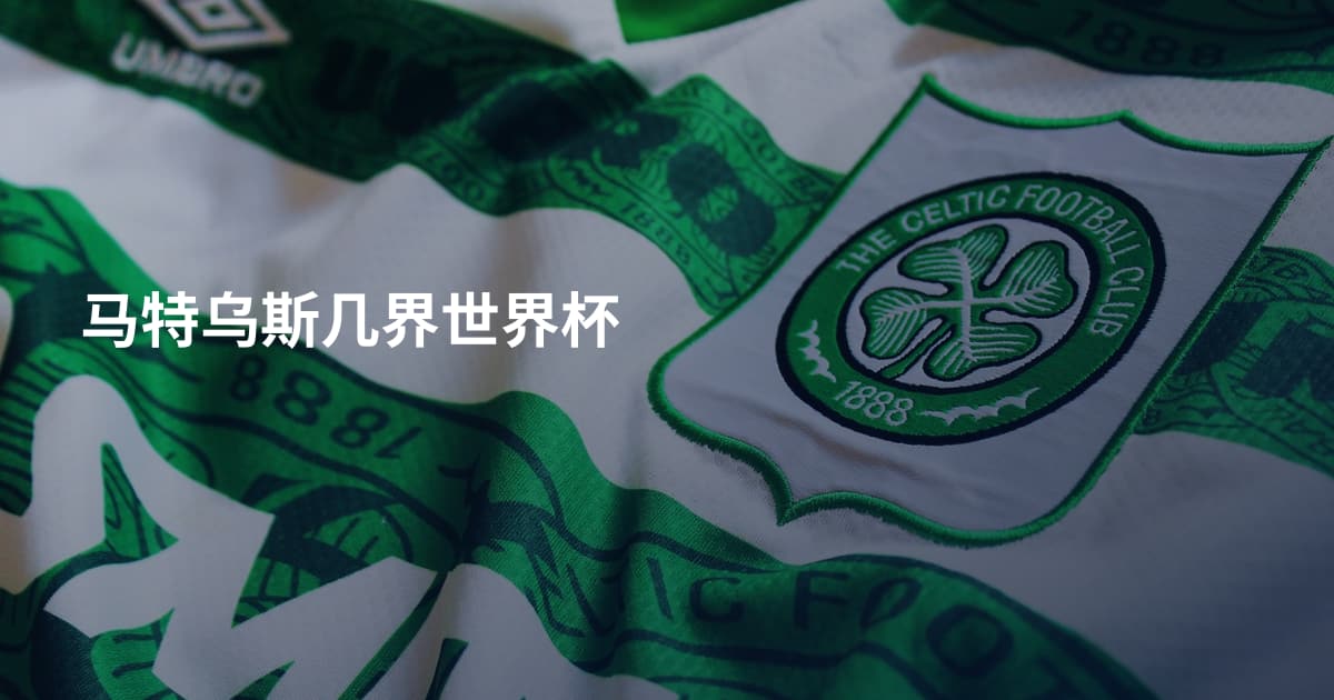 马特乌斯几界世界杯