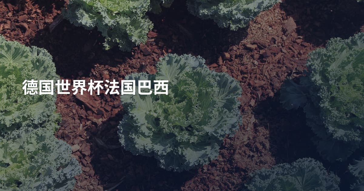 德国世界杯法国巴西