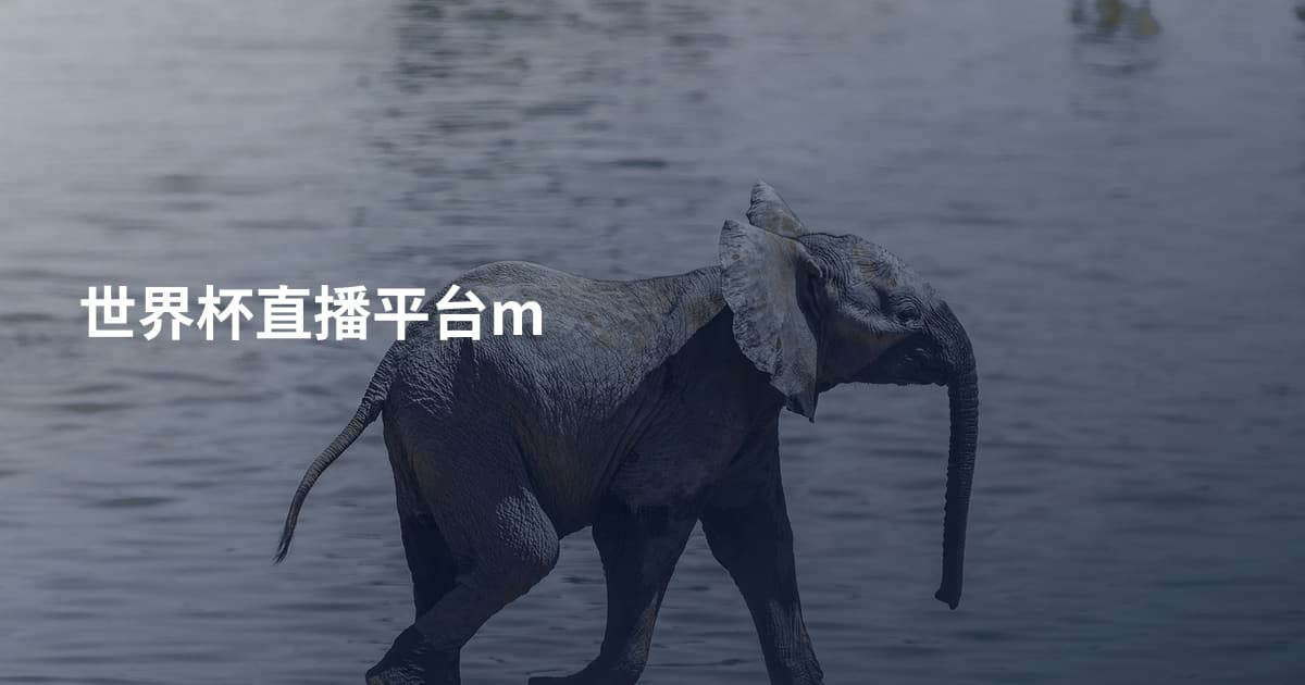 世界杯直播平台m