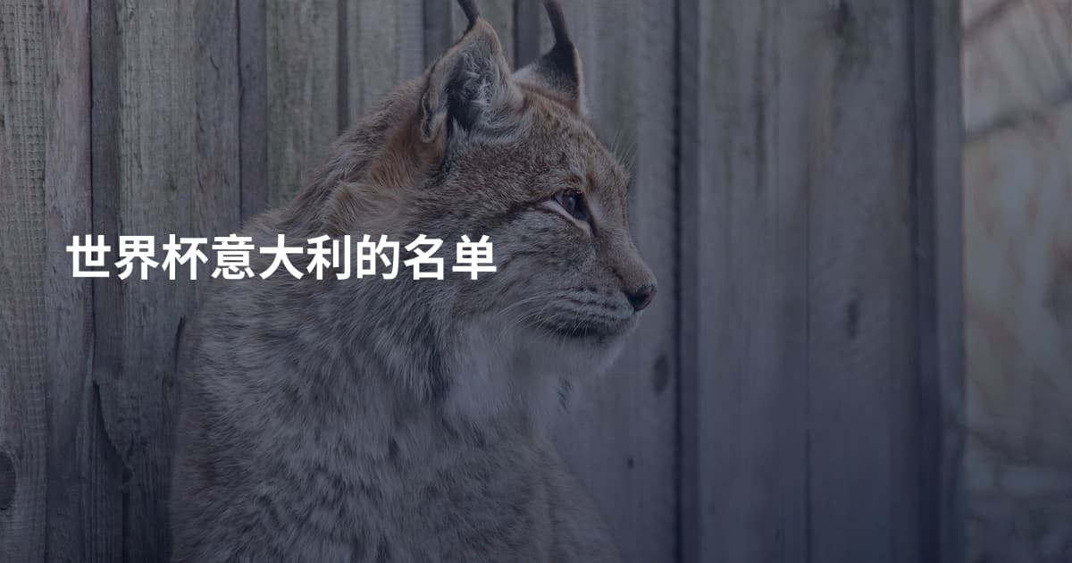 世界杯意大利的名单
