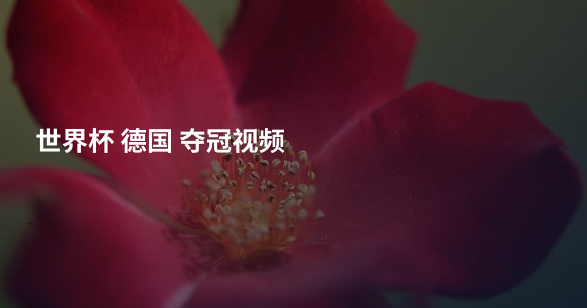 世界杯 德国 夺冠视频