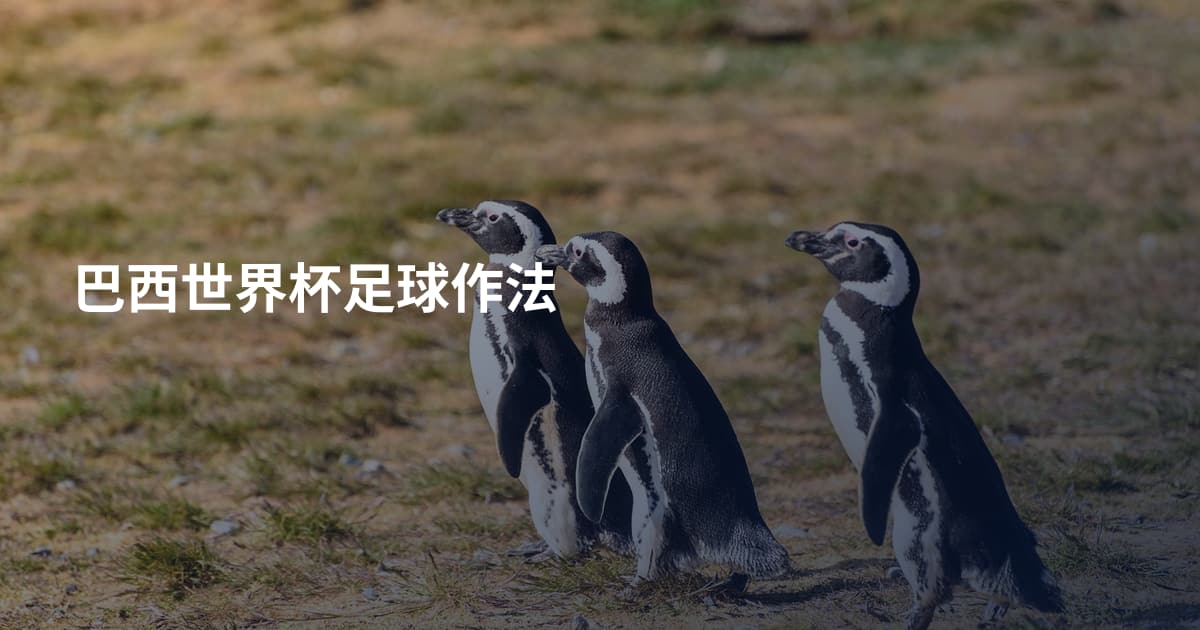 巴西世界杯足球作法