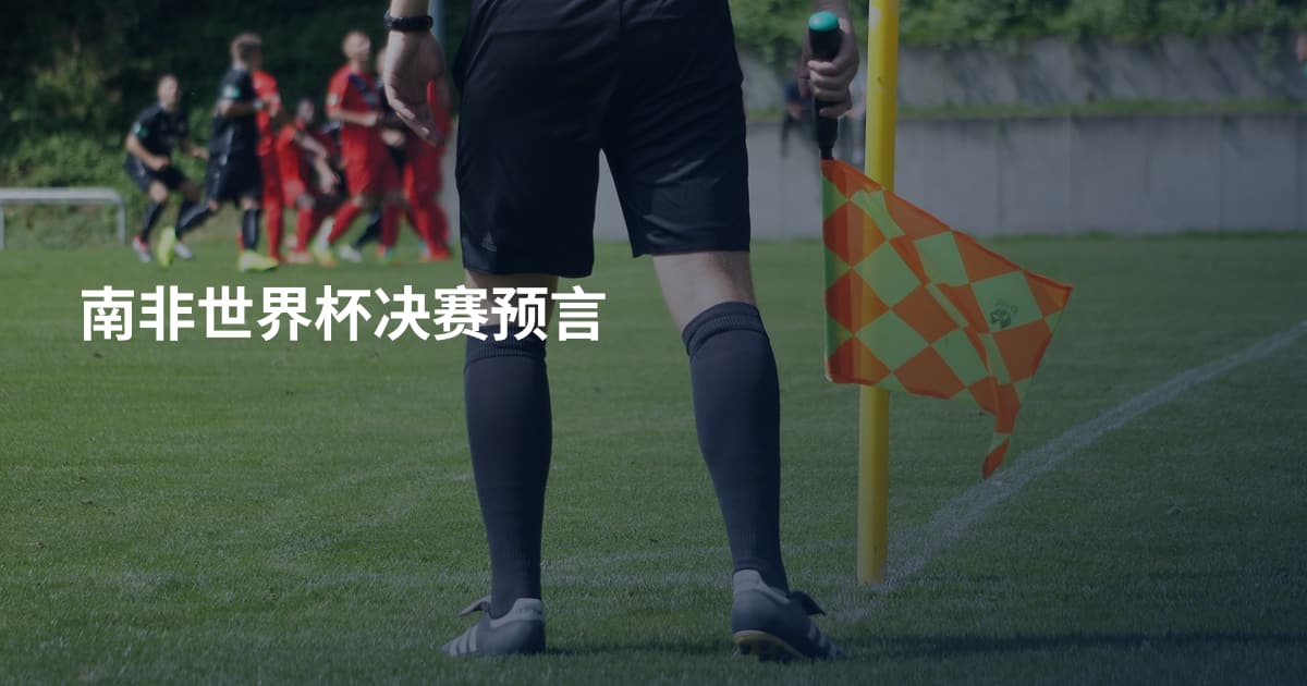 南非世界杯决赛预言