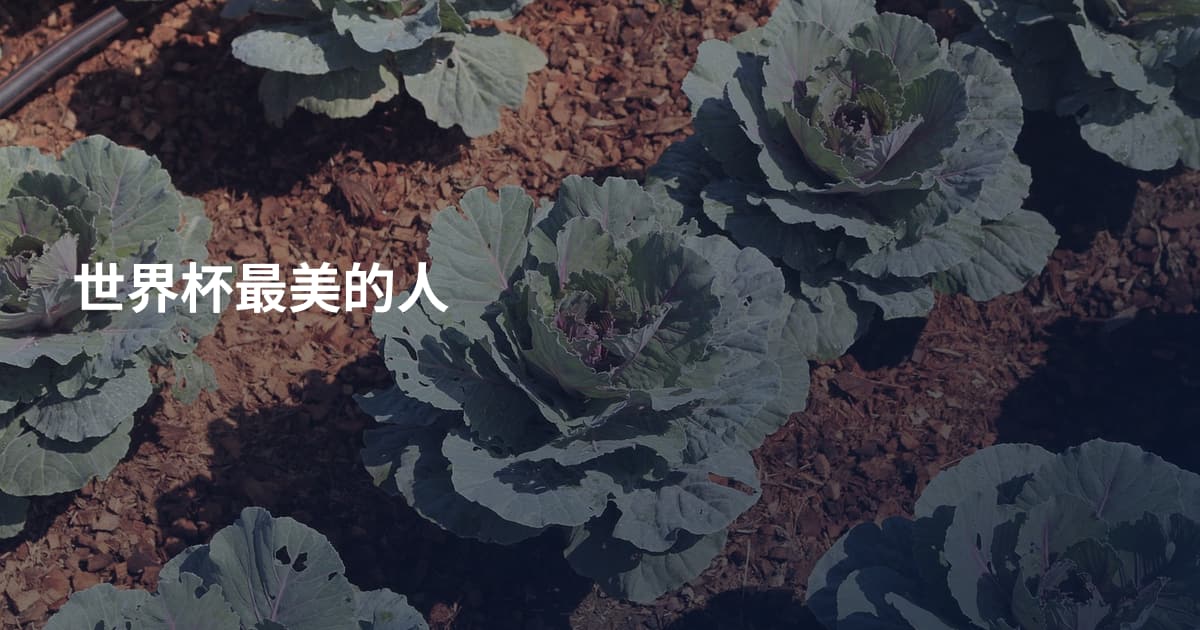 世界杯最美的人