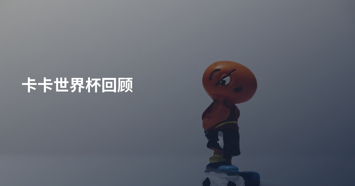 卡卡世界杯回顾