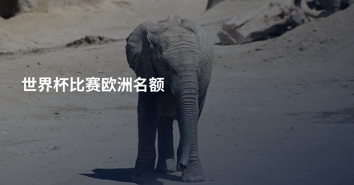 世界杯比赛欧洲名额