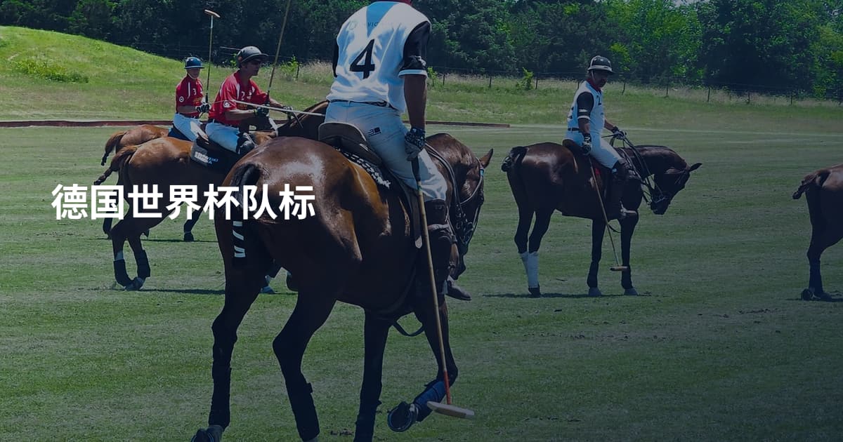 德国世界杯队标