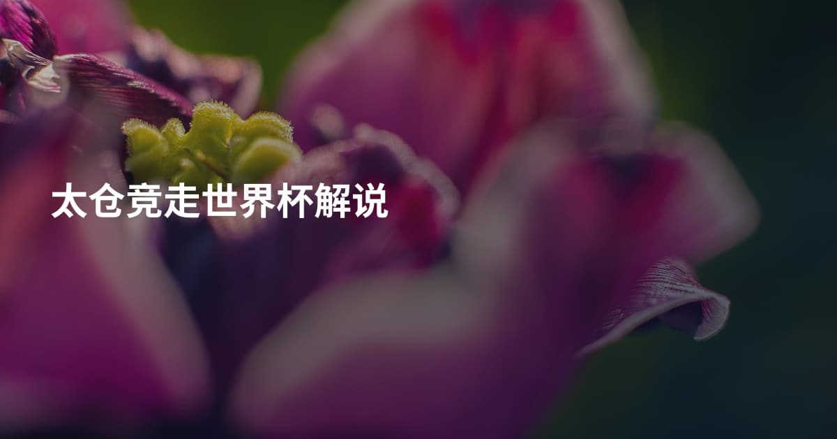 太仓竞走世界杯解说