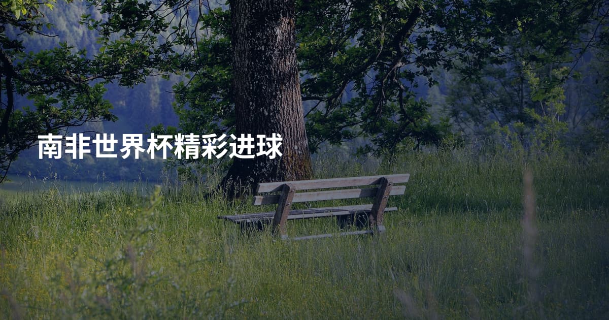 南非世界杯精彩进球